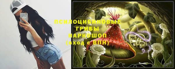 прущая мука Кодинск