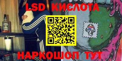 прущие грибы Комсомольск-на-Амуре