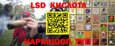 прущие грибы Комсомольск-на-Амуре