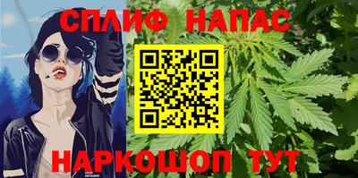 прущие грибы Комсомольск-на-Амуре