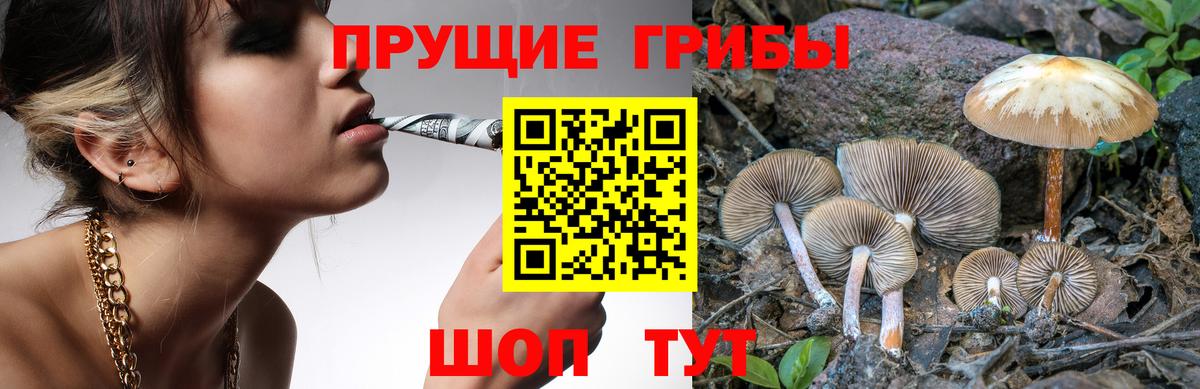 Галлюциногенные грибы прущие грибы Юрга