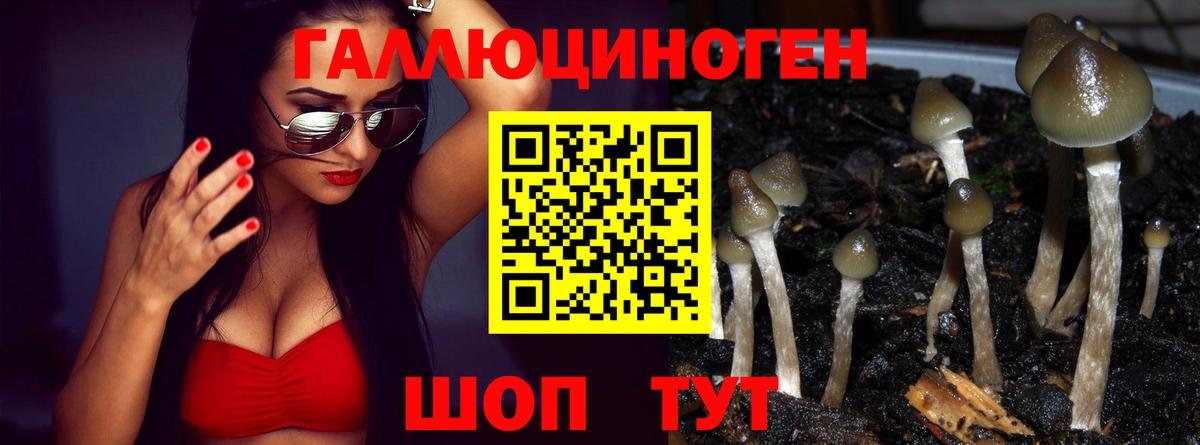 где купить наркоту  Вход с VPN  Юрга  Галлюциногенные грибы прущие грибы 